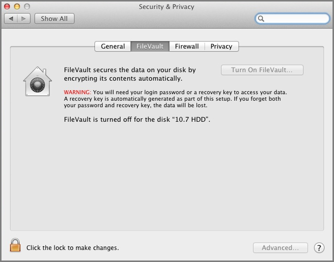 Disk encryption vs file encryption