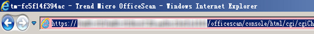 consider_client_ipv6_install_url.jpg
